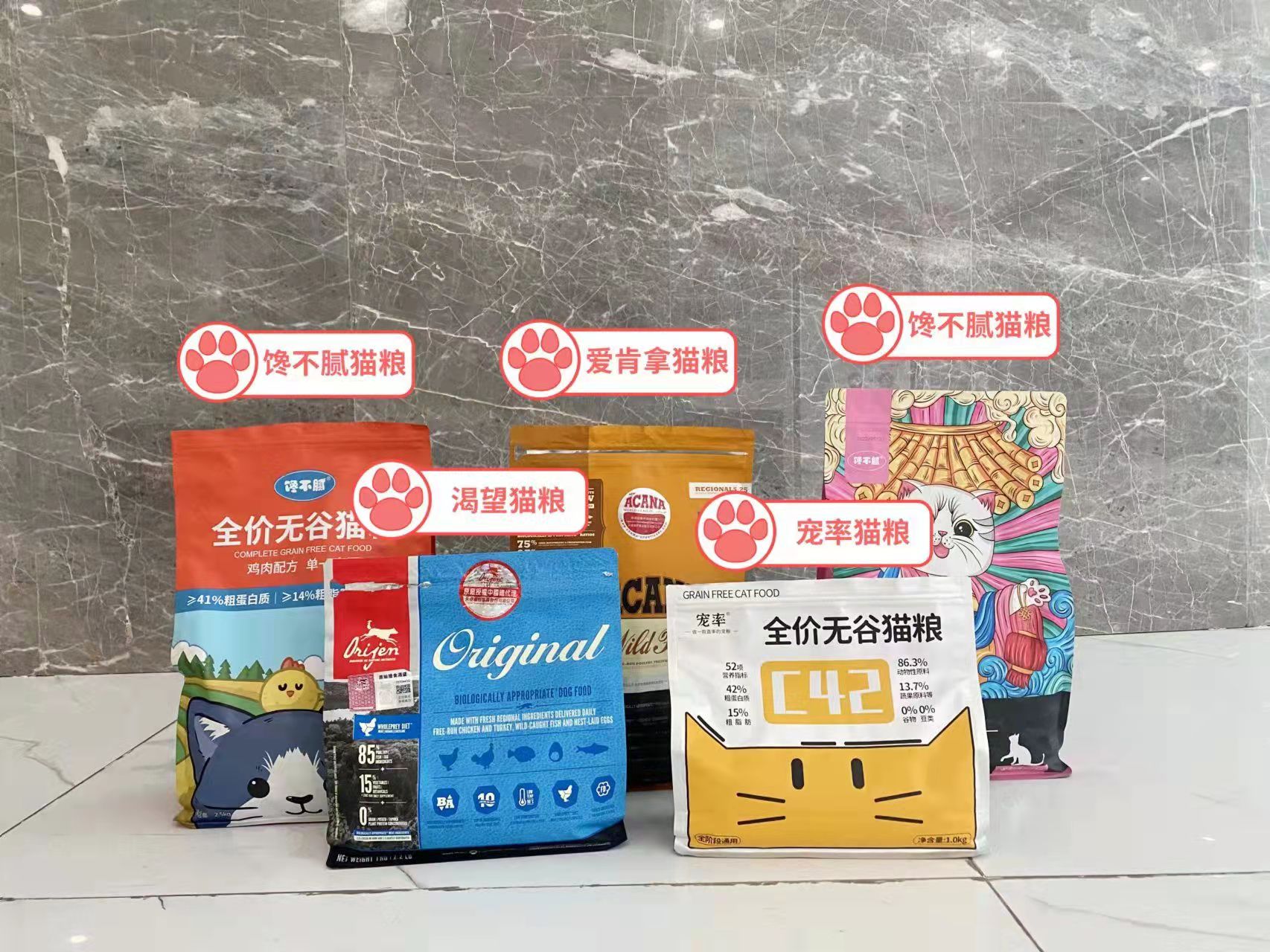 山东狮子猫可以媲美布偶猫,山东狮子猫大型猫