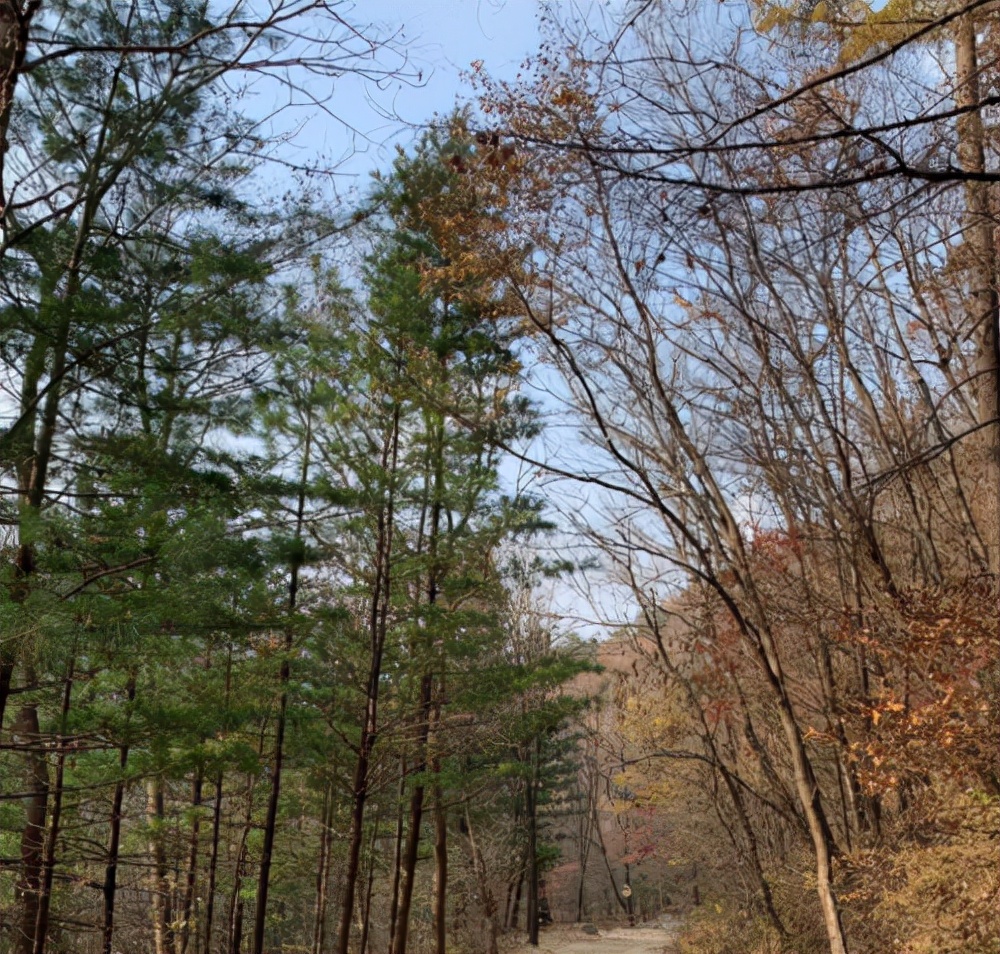 固特异轮胎质保范围,固特异轮胎安全性