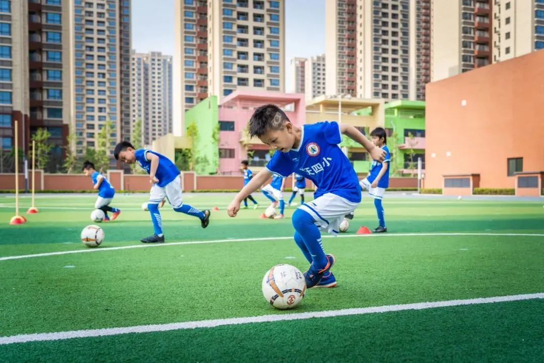 公示体育类校外培训机构,陕西省体育类培训机构设置标准