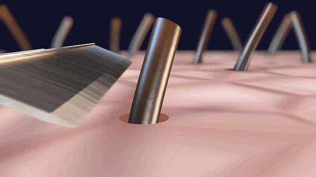 双11必买清单配饰,推荐双11必备好物