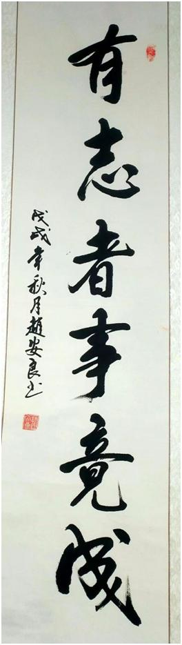 赵安书法作品欣赏大全,赵安良书法