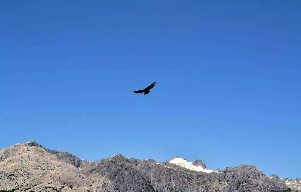 秘鲁这个国家怎么样了,秘鲁国家富裕还是贫穷