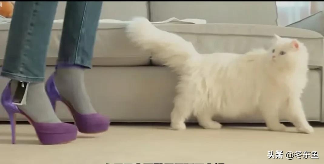 暗网——一个潜伏在世界最深处的犯罪组织，你知道多少？