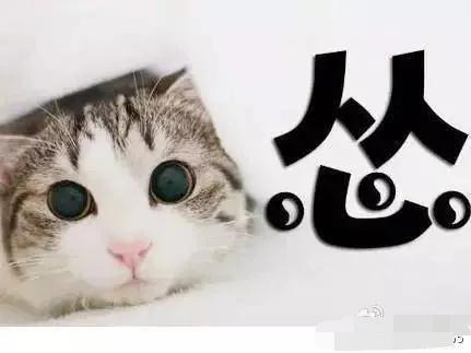 陕西方言只有真正的老陕才能听懂,老陕方言大全