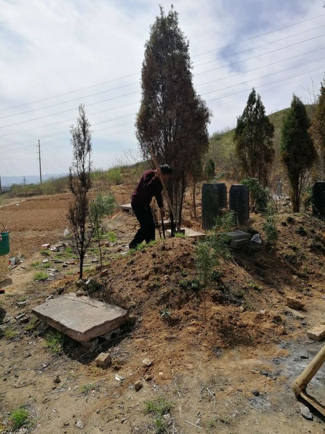 坟茔地风水影响几代人,坟的东北方位代表哪个子孙后代