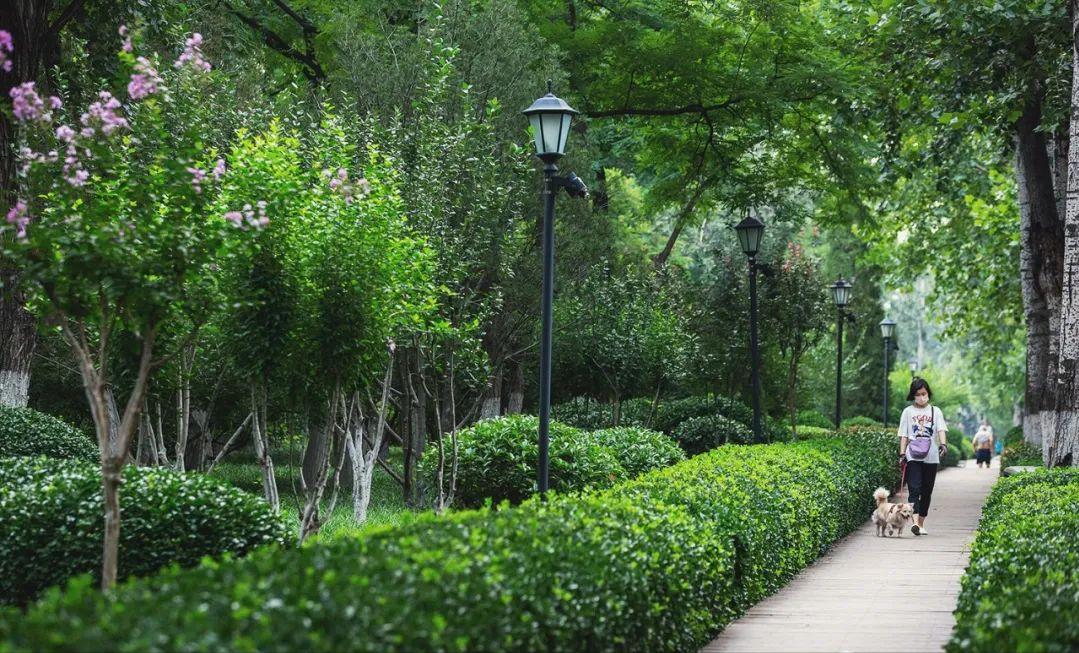 济南值得推荐的休闲好去处,济南必逛风景点