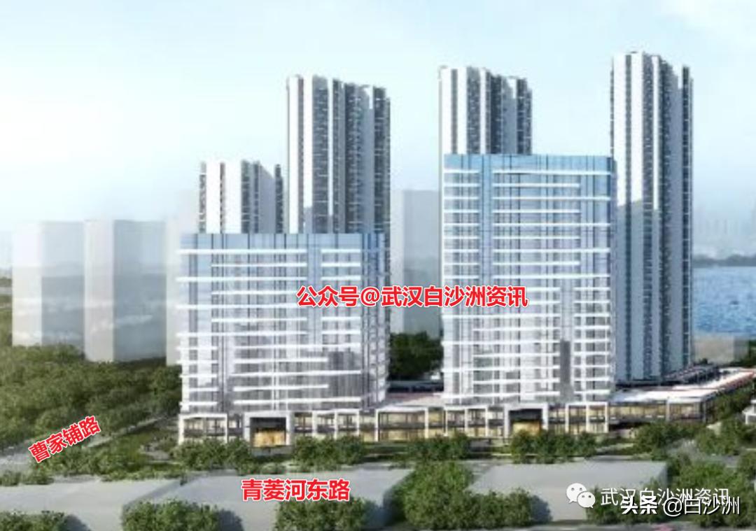 白沙洲大市场青菱cbd,白沙洲青菱商业