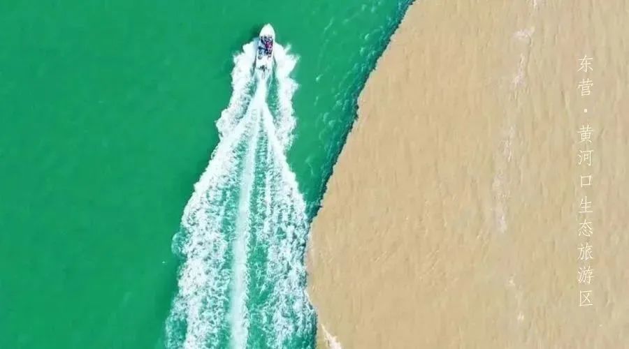 邀您共赏春,邀您一起奔赴冬日之约