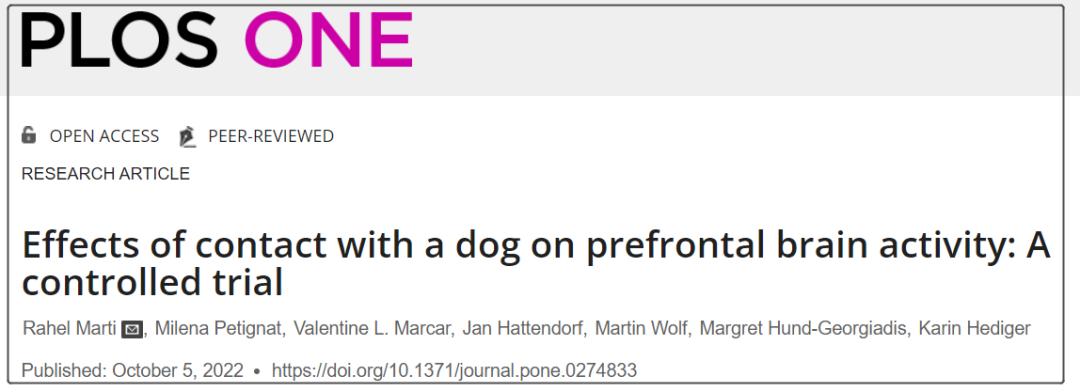 养一只小狗对孩子有什么好处,养只小狗对孩子成长的意义