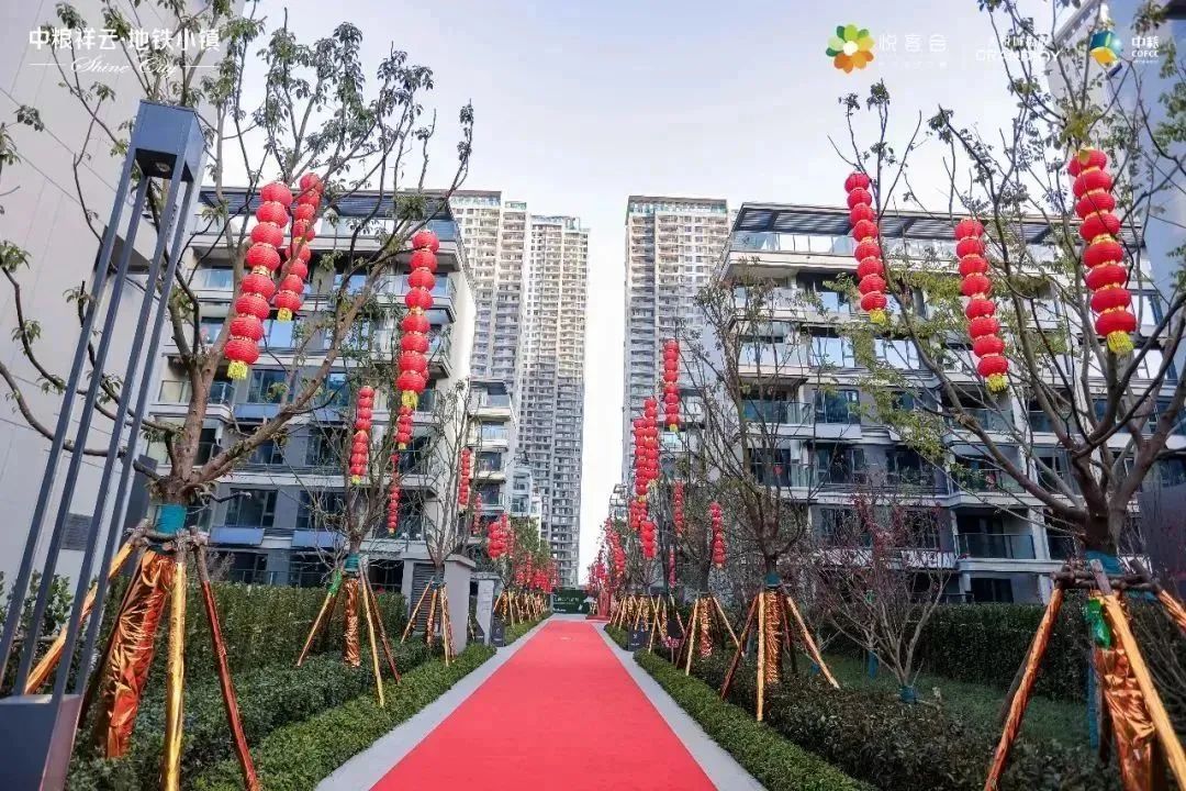 武汉新房出货图片,今年武汉新房交房有哪些地方