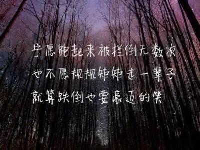 人生语录正能量人生感悟六句,生活不易活好当下经典语录