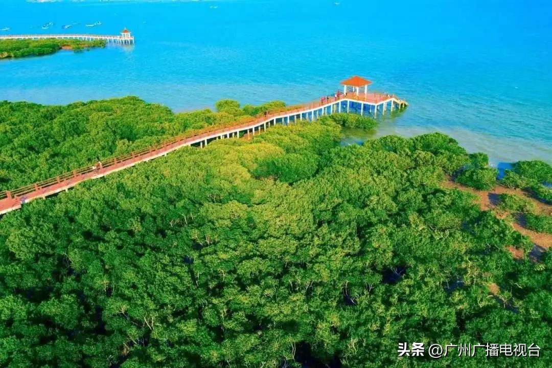 湛江到广州时速350公里高铁进度,广州湛江高铁开通时间