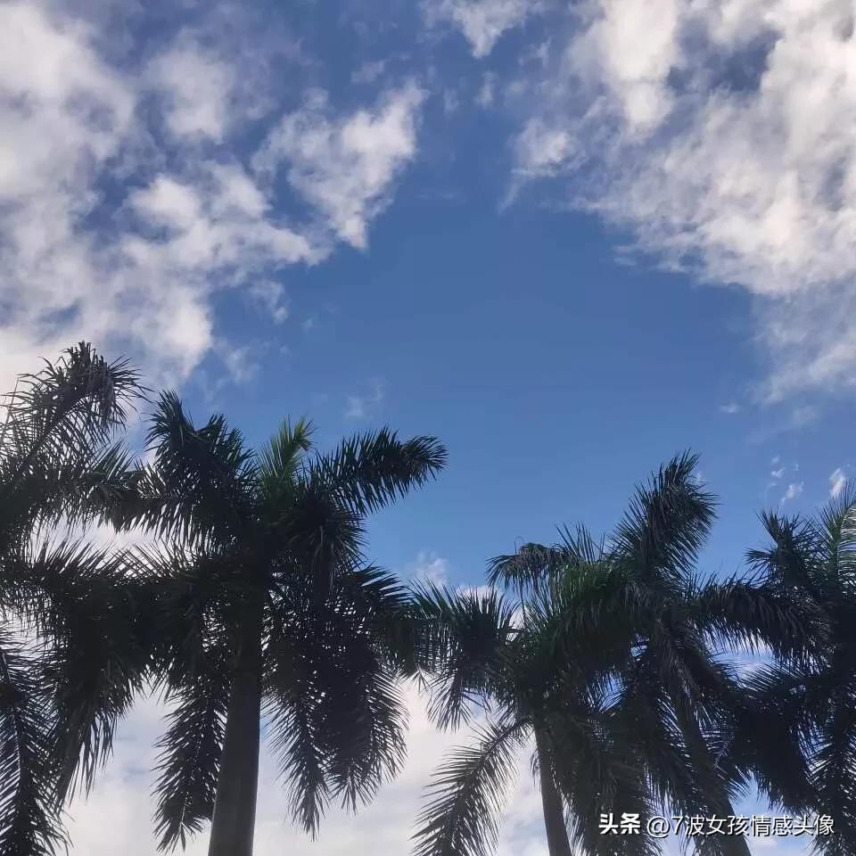 这世间没有感同身受只有独自承受,世上从来不感同身受只有冷暖自知