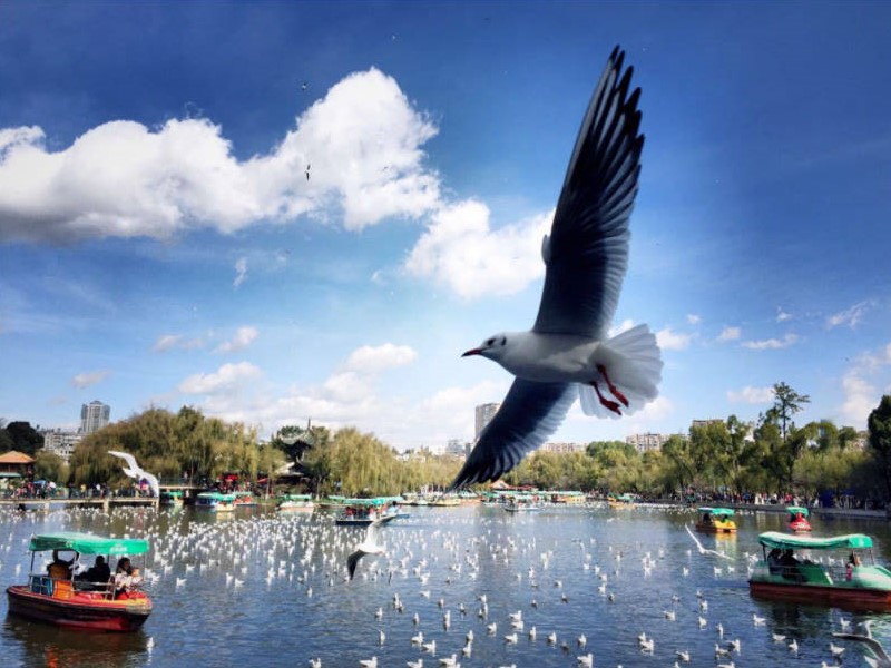 昆明到贵州5日游路线攻略,昆明大理5日游最佳方案