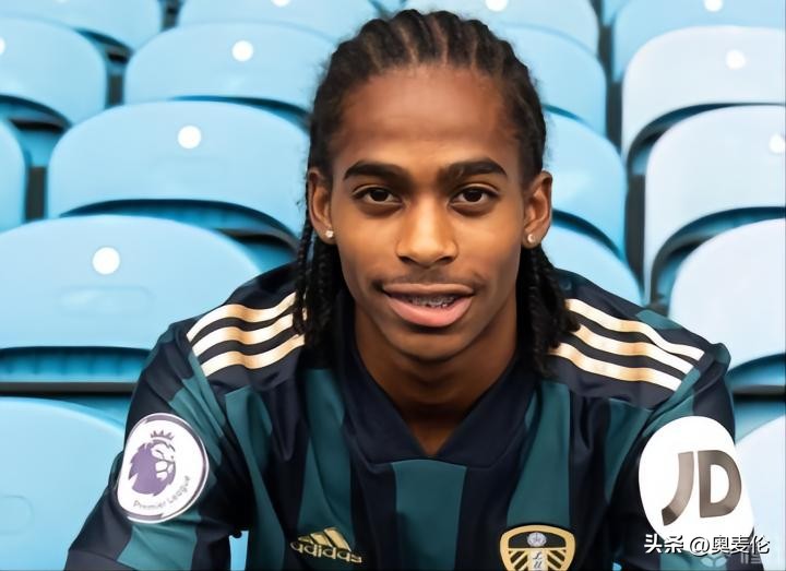 荷兰球队球员最新名单,荷兰国家队的主力后卫