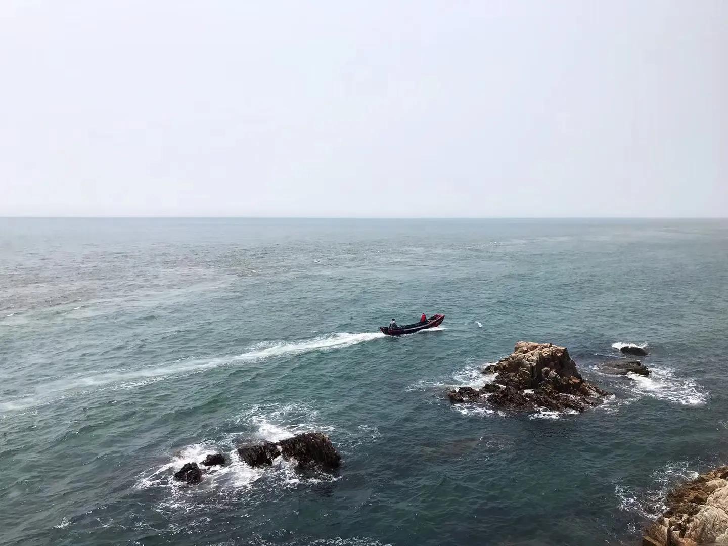 常吃的大海鱼的种类和名字,常吃的大海鱼有哪些