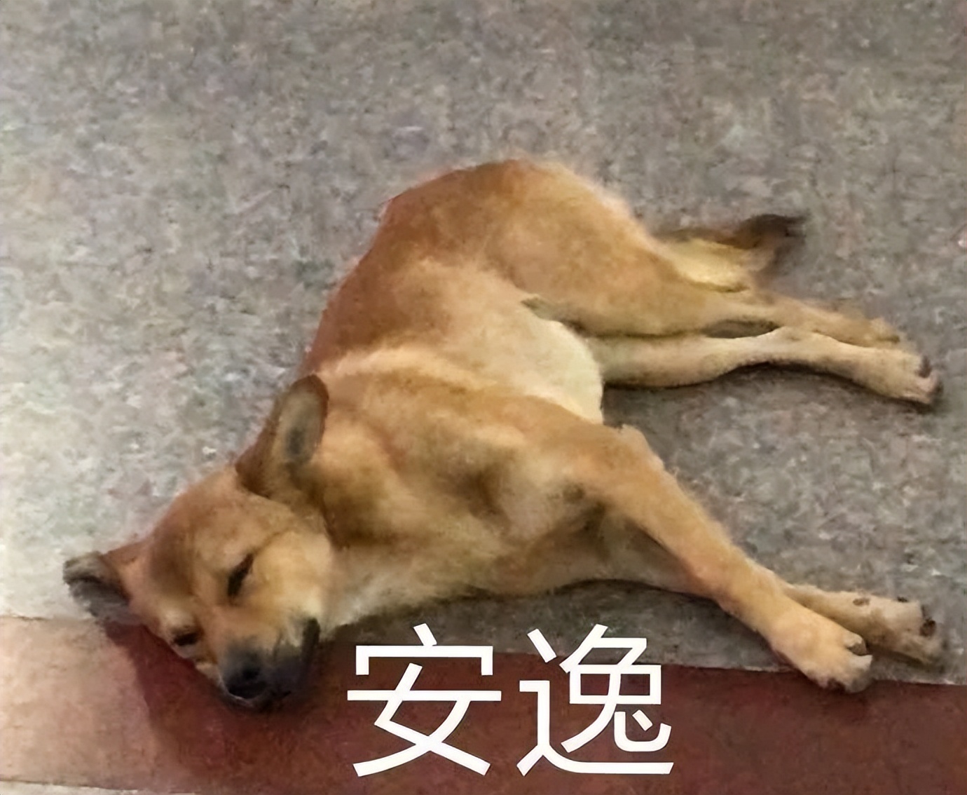 柳丝木粉底液适合干皮还是油皮,干皮混油皮大牌粉底液