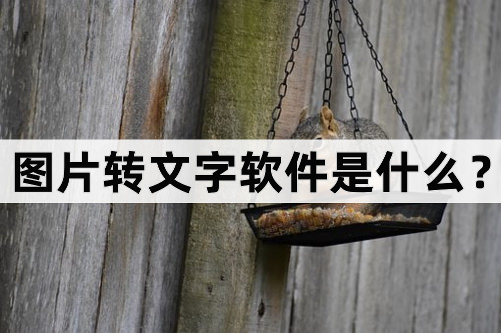 视频语音转文字app软件哪个最好,可以把图片文字转成word的软件