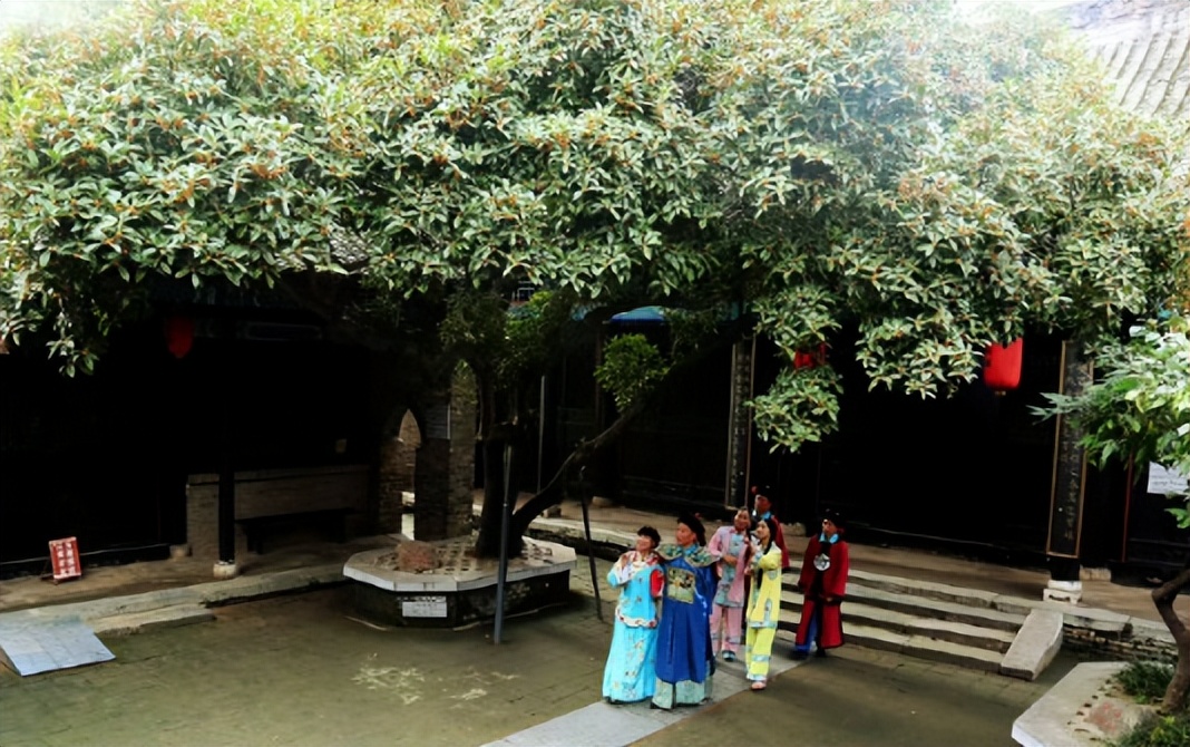 郑州商城发现“金面罩”,比三星堆还早/少林武术正式有了“郑州标准”/小伙寻亲20年在郑州找到亲生母亲