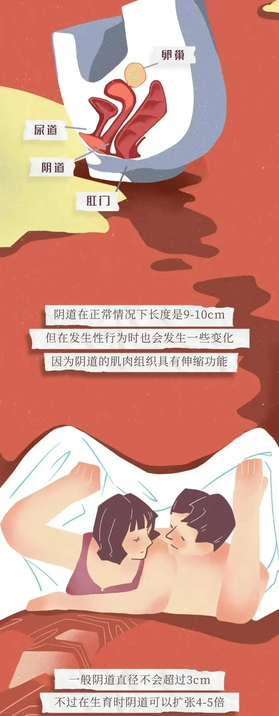 漫画分享，女人要了解的“阴道”知识，男人可要保护好自己的女孩