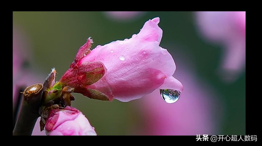 大眼橙投影仪最新款测评,大眼橙投影仪X6