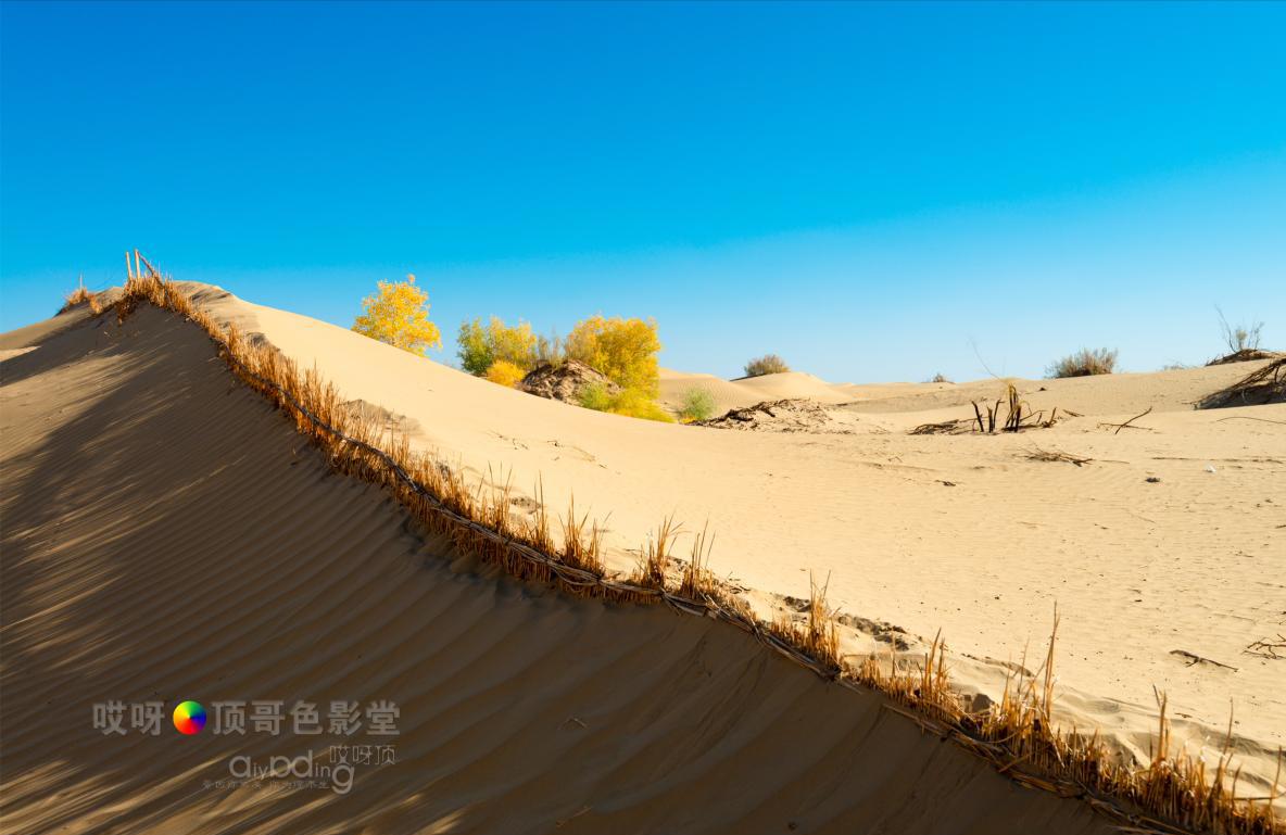 女司机带娃去新疆自驾游,带着女司机自驾游兰州