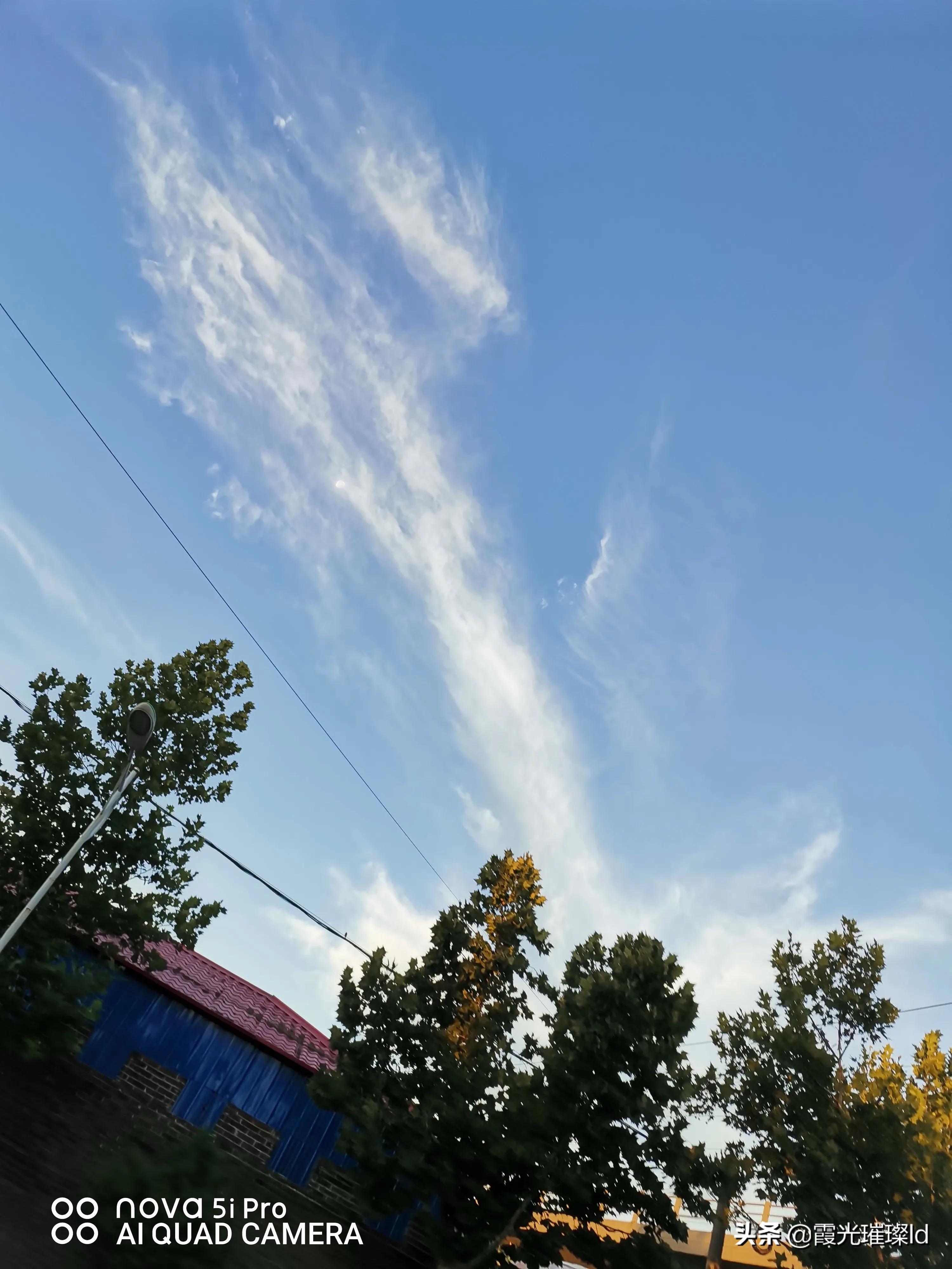 防盗窗有马蜂窝怎么办,防盗窗做的马蜂窝怎么形成的