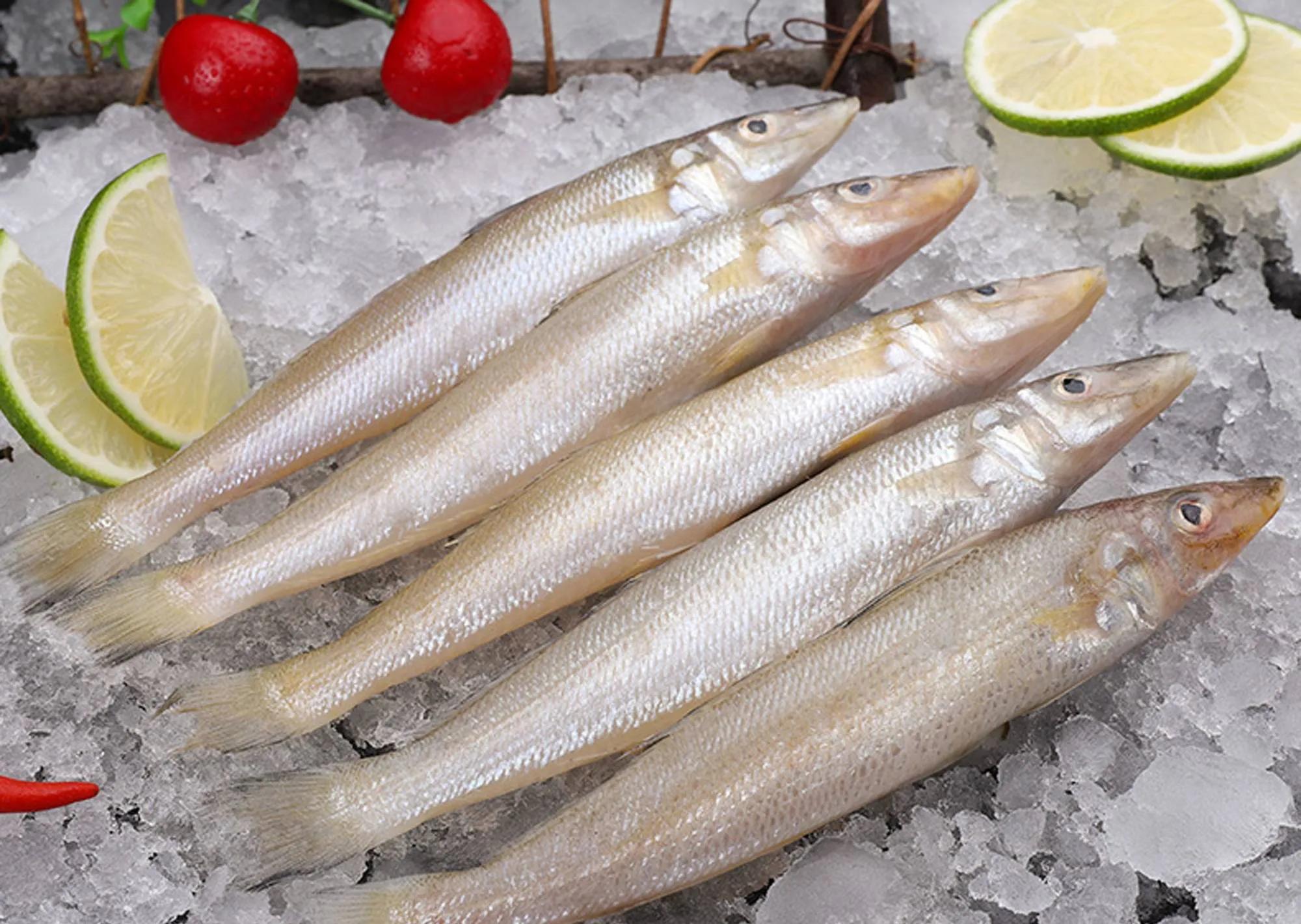 10种海鱼便宜营养价值高,30种最常吃的海鱼图片大全