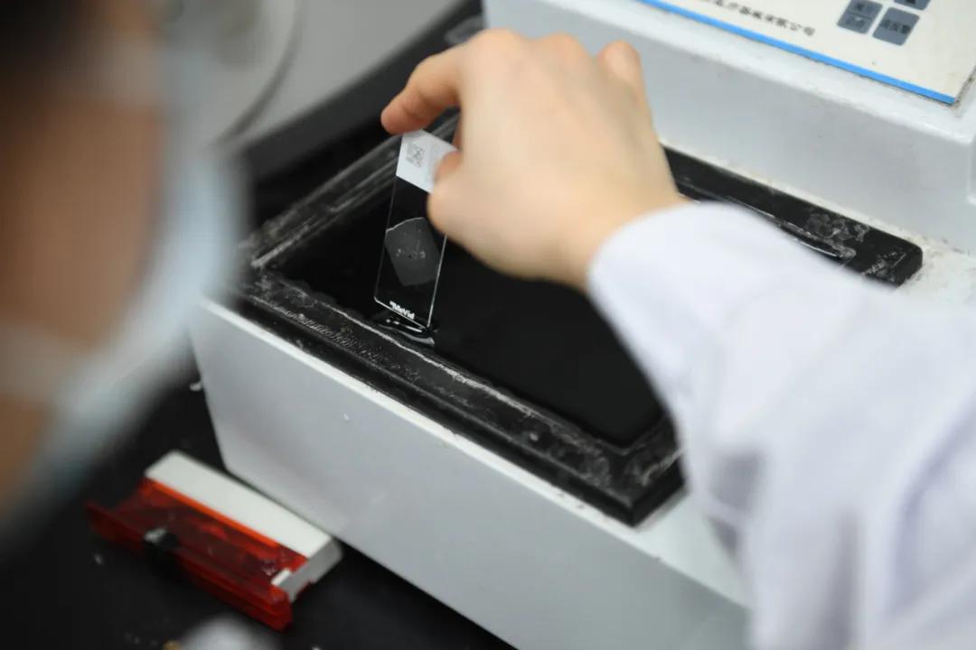 活体病理切片是什么,探访医院病理科