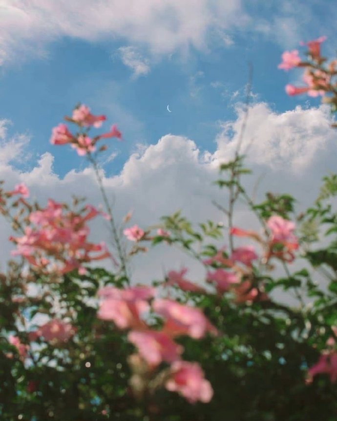 真正有福气的人都有以下几个特征,有福气的人身上往往有这四个特征