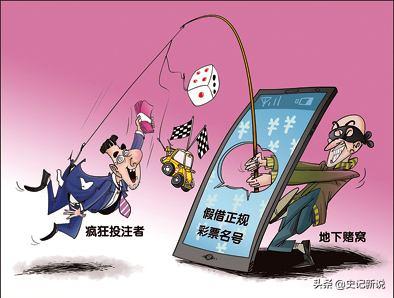 傻小子创业项目,傻小子创业视频