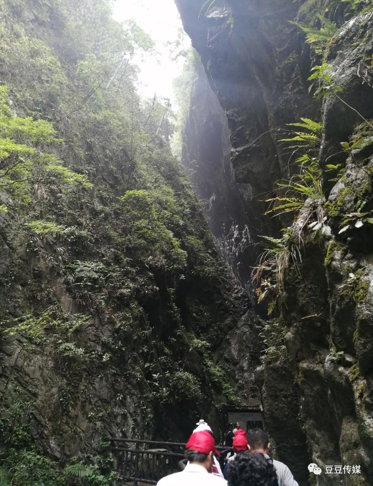 长江之游(下)从武陵山到重庆|宋春晖