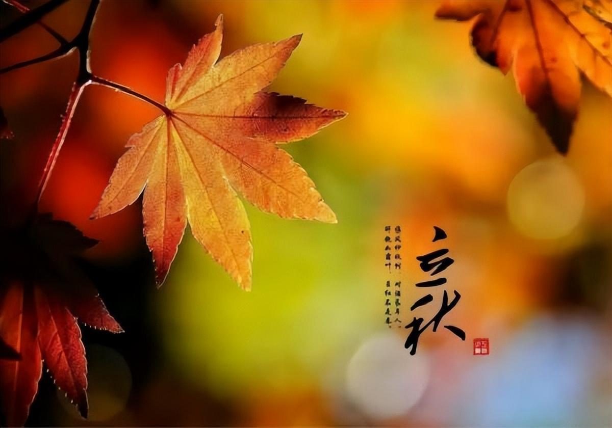 二十四节气之立秋养生,二十四节气立秋的解说