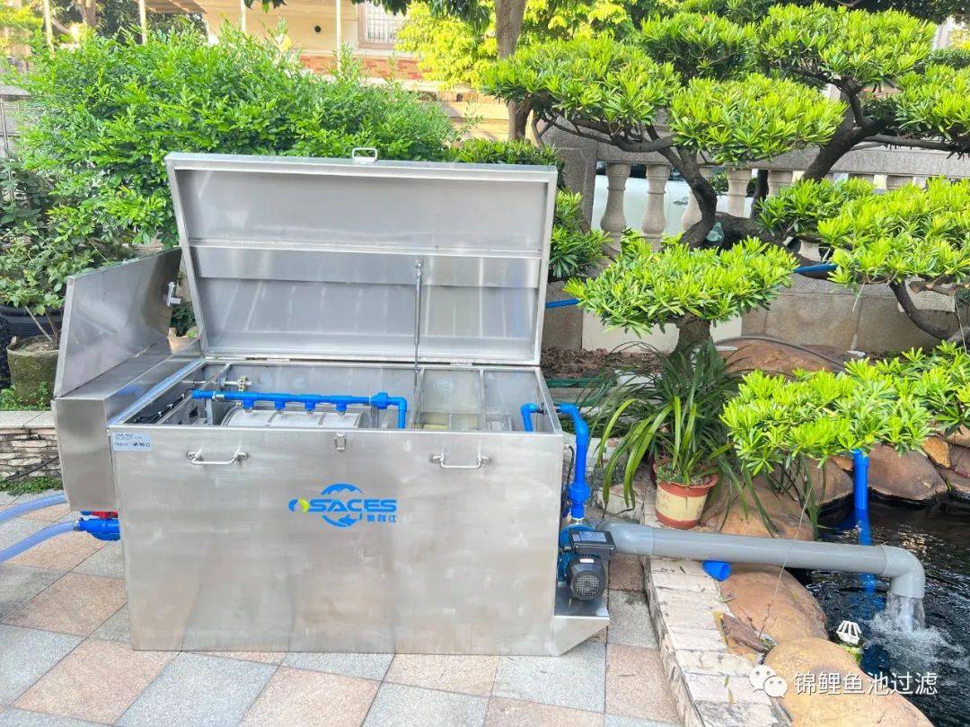 锦鲤鱼池下过滤池底粪便如何清除,锦鲤鱼池过滤仓用什么做盖子好