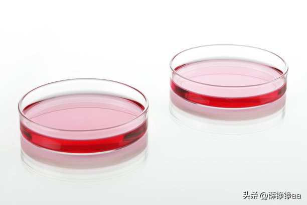 番茄青枯病害鉴别,分离番茄茎腐病真菌的方法