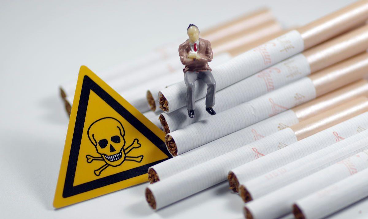 一支最便宜的雪茄多少钱,一口雪茄一套房子