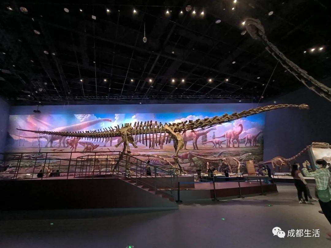 最详细成都旅游攻略,三天成都旅游全攻略