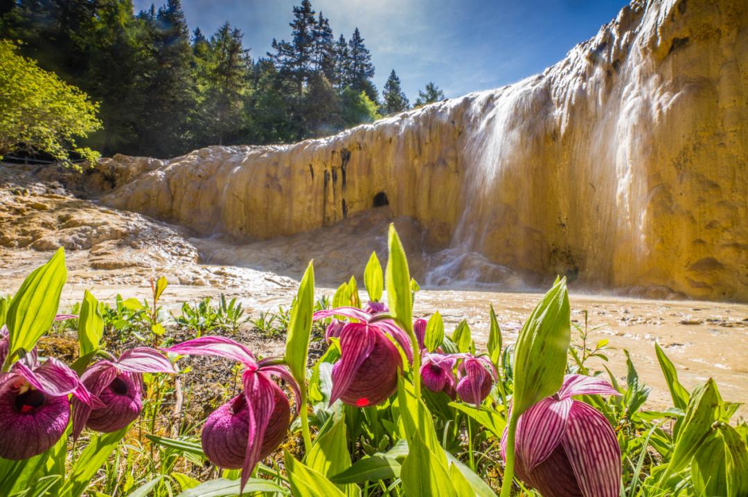 黄龙七天六晚旅游攻略推荐,暑假四川黄龙一线旅游攻略