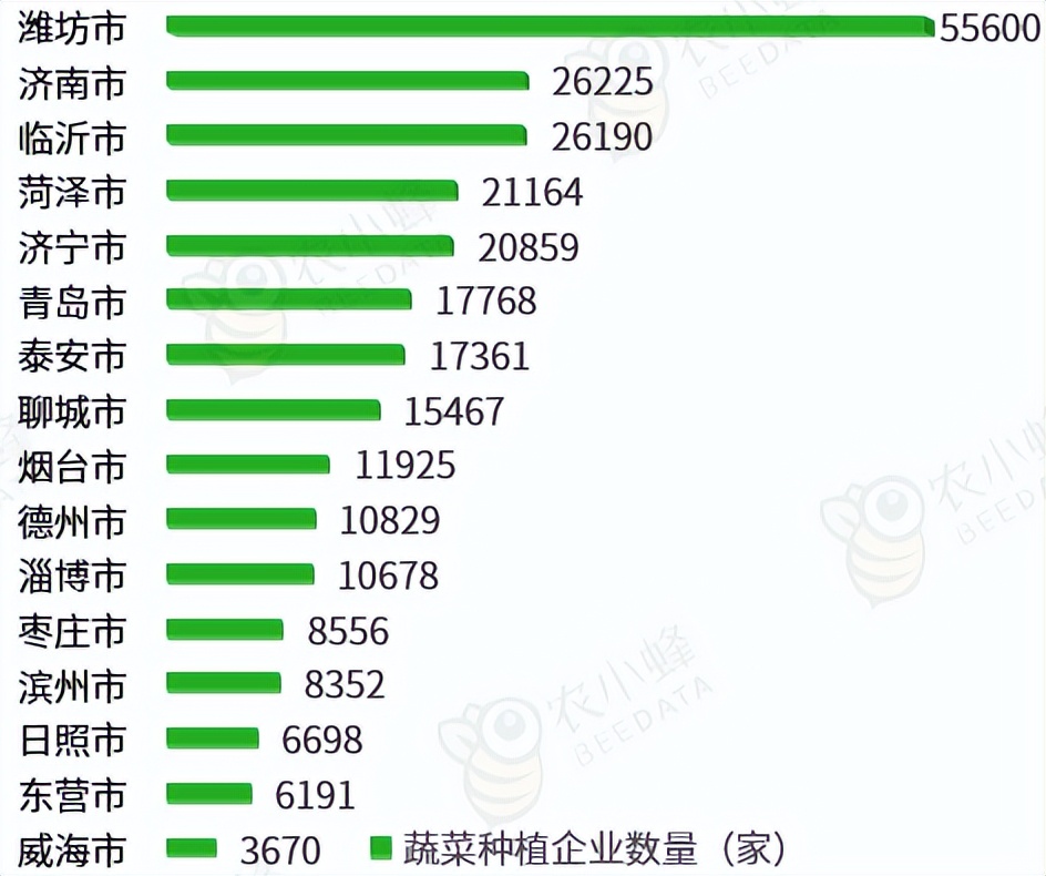 山东省蔬菜产业发展政策,山东蔬菜产业布局