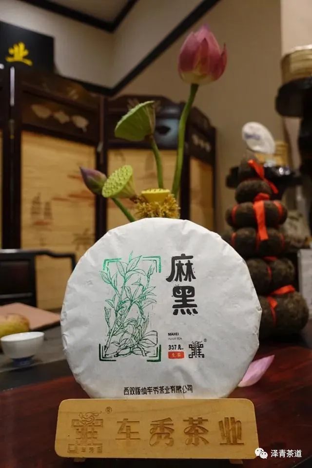 普洱茶各大山头的特性和口感图文,普洱茶老茶头的口感特点有哪些