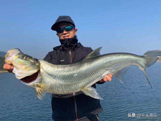 邓刚钓翘嘴鱼视频完整版,邓刚钓翘嘴鱼的方法及技巧