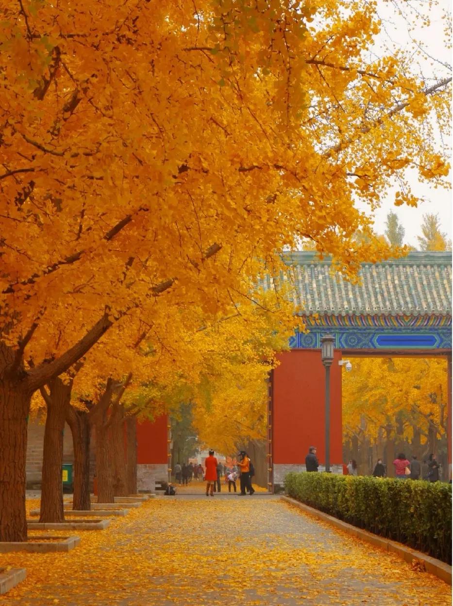 北京必去的30个赏秋地点,赏秋京城内外高颜值秋景大盘点