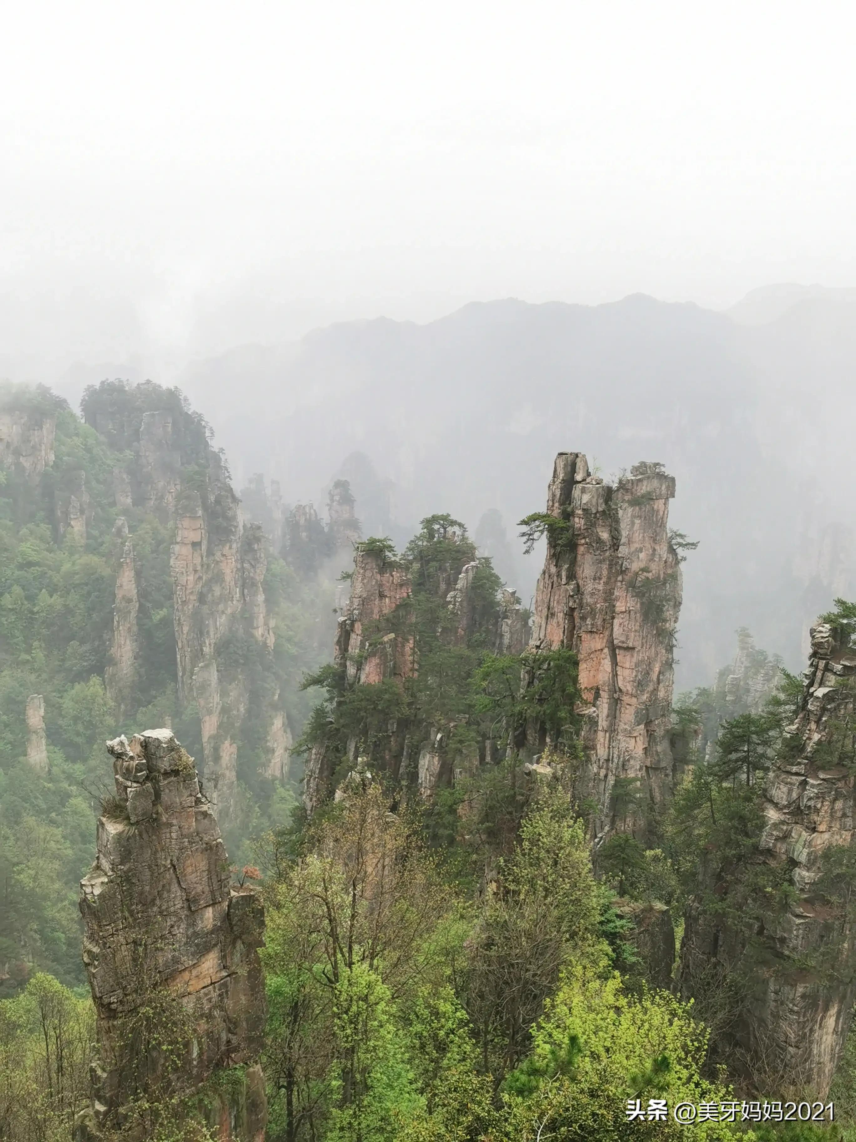 第一次长途三天旅行张家界,我的张家界旅行视频