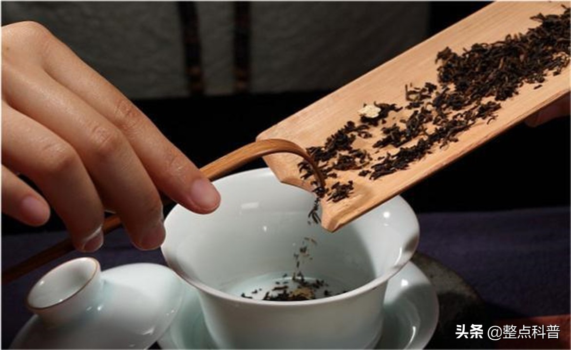 普洱茶熟茶里的霉菌,变质的普洱茶熟茶喝了会如何