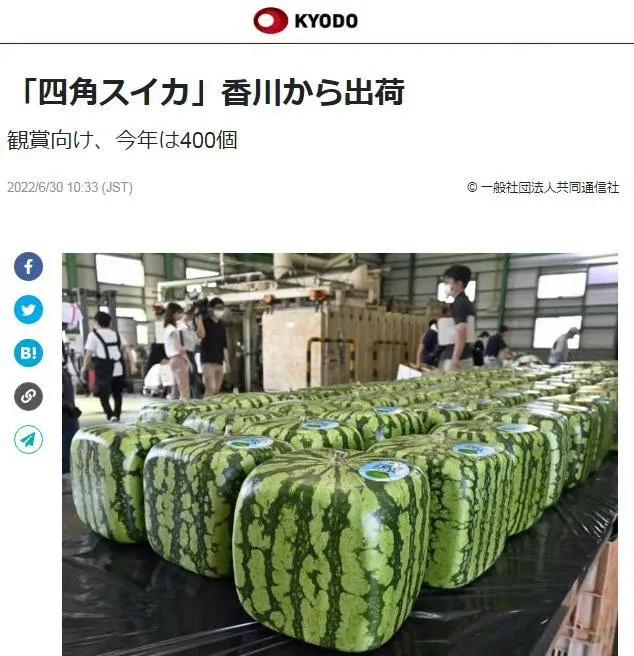 全世界最贵的6种水果,全世界最贵的六种水果