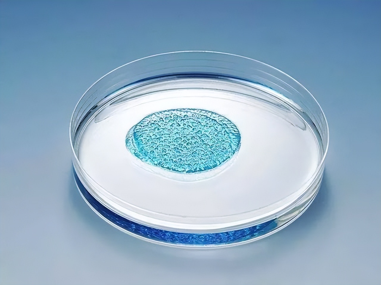 纤维素基水凝胶,纤维素水凝胶