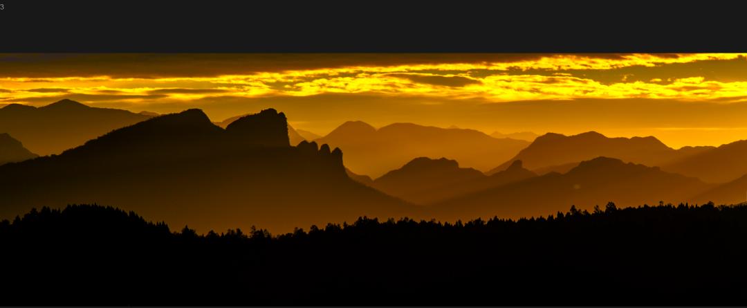 剑阁杯古树名木摄影大赛,保亭摄影比赛获奖作品