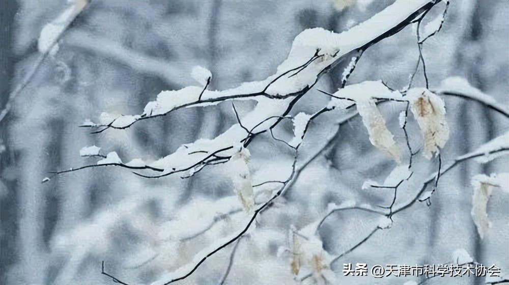 24节气今日大雪什么时间,二十四节气大雪歌曲