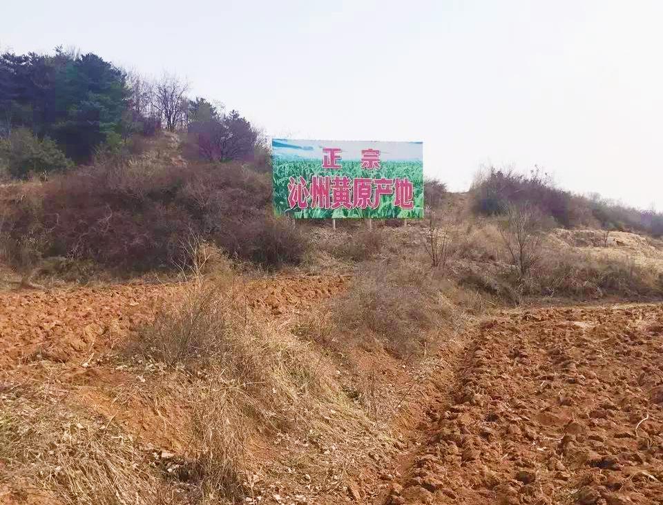 晋味美沁州黄小米怎么样,沁州黄小米哪个品牌最正宗