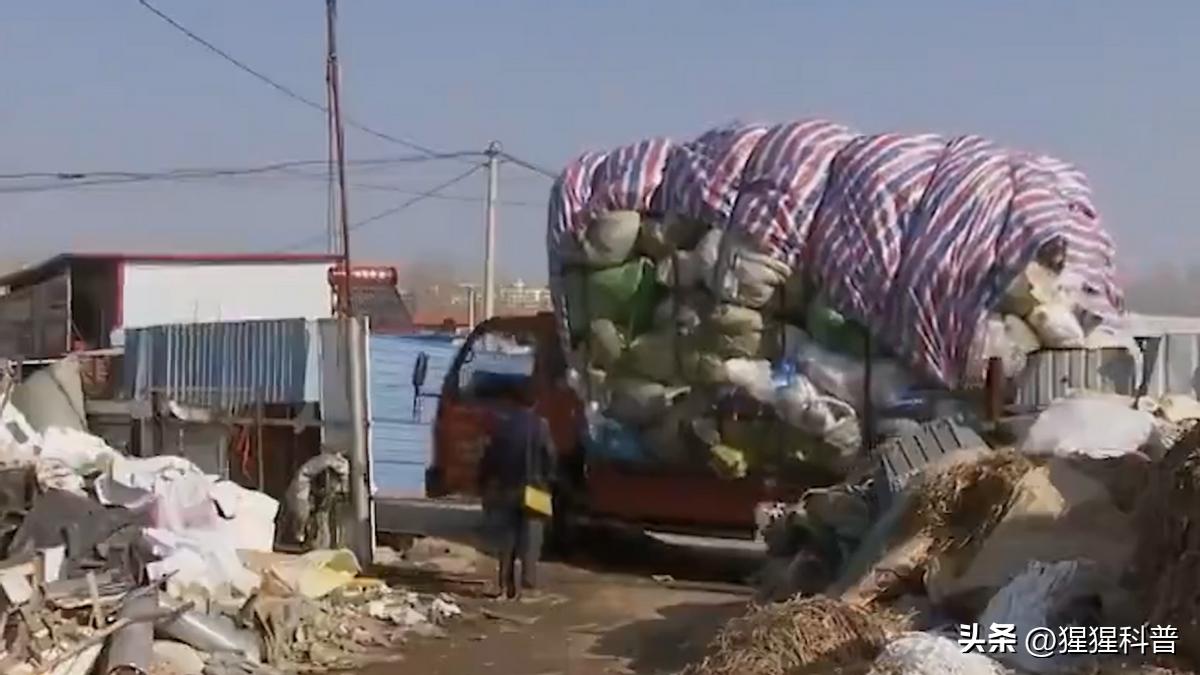 那些奇葩挣钱的项目,盘点奇葩副业